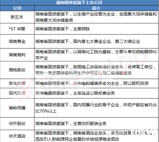 湖南國企改革
