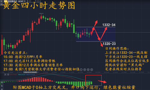 蕭昱晟：1.19午評黃金震蕩上行，后市走勢分析及策略附解套思路