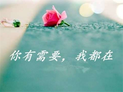 趙鑫勝：1-19如何利用KDJ與布林線盈利