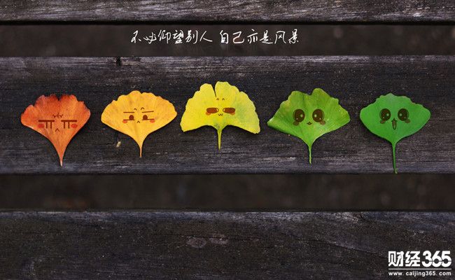鄭凡柏：黃金一躍穩企1340，日間震蕩上行欲創新高