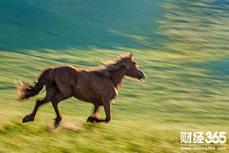 陸睿銘：1.25多頭馬不停蹄黃金倫敦金行情走勢分析