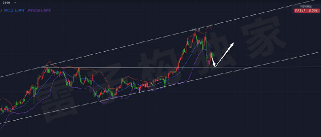 雷子構:1.26黃金預計進入調整階段,目前點位如何操作 雷子構:1.26黃金預計進入調整階段,目前點位如何操作