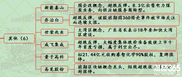 漲停個股分析