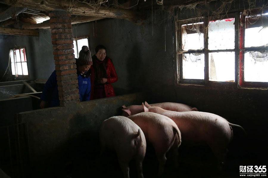 臘肉女王一冬做十萬斤臘肉 臘肉生意讓人羨