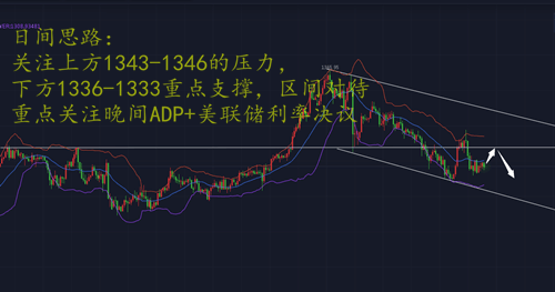  雷子構：1.31小非農ADP亮相，黃金晚間操作分析策略
