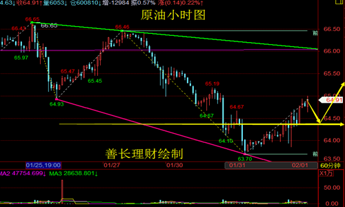 善長(zhǎng)理財(cái)：2.1早評(píng)黃金為何暴漲暴跌？早間分析策略