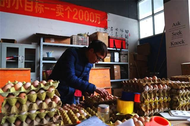品蛋師每天數次品嘗雞蛋 曾吃雞蛋到吐