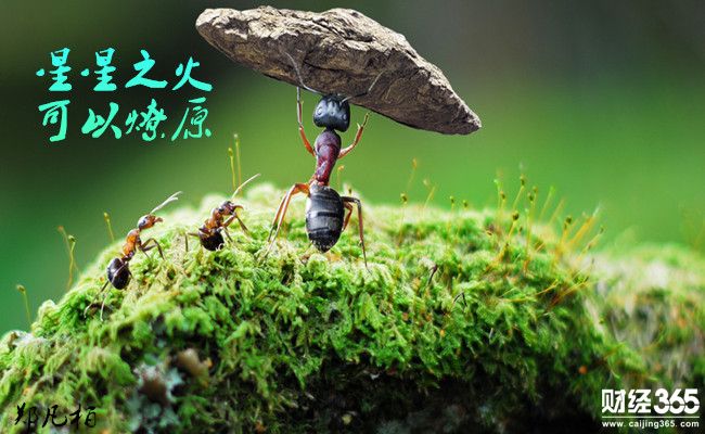 鄭凡柏_副本80.jpg