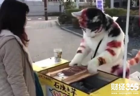 創(chuàng)意營銷：身穿道具服裝賣烤紅薯 引人注目生意火爆