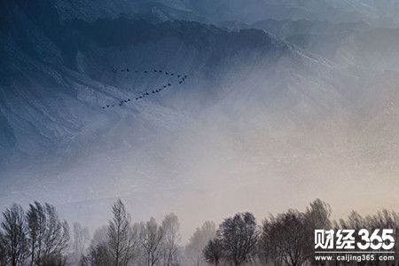 黃金投資入門