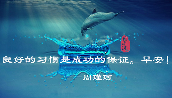 dolphin-1739674_960_720.jpg