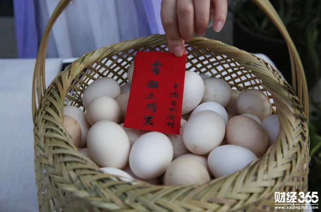 農(nóng)村創(chuàng)業(yè)：美女白領(lǐng)返鄉(xiāng)創(chuàng)業(yè)，賣土特產(chǎn)意外成功