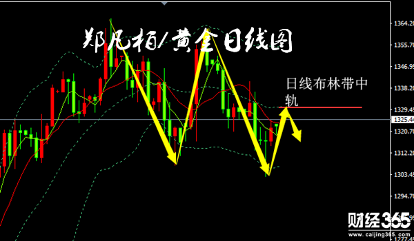 鄭凡柏：3.5黃金震蕩待突破，日間走勢分析