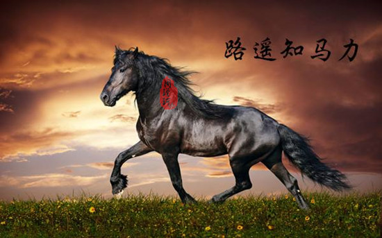 周瑾珂：3.6黃金今日支撐看1328，拋棄浮躁迎本周非農(nóng)