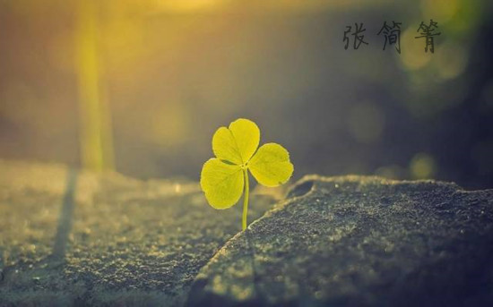 張簡(jiǎn)箐：ADP黃金被多空戲耍，曇花一現(xiàn)多單又被套！