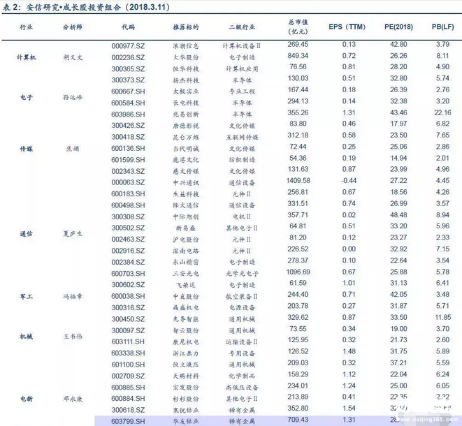 成長股投資組合