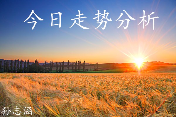 孫志涵：3.12黃金走勢分析及操作策略，今日低多為主