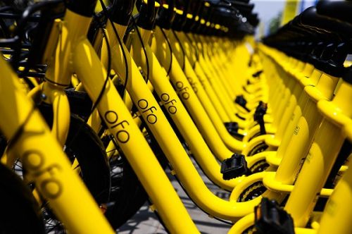ofo ofo