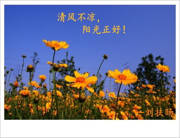 劉扶旸：3.12黃金震蕩持續 今日黃金能否突破1327高點？