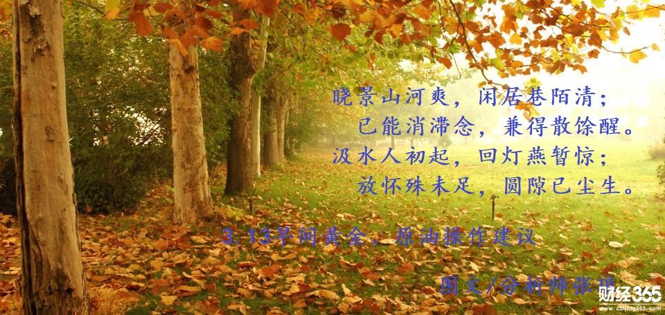 分析師張瑯:3.13強壓之下,早盤黃金、原油操作建議 分析師張瑯:3.13強壓之下,早盤黃金、原油操作建議