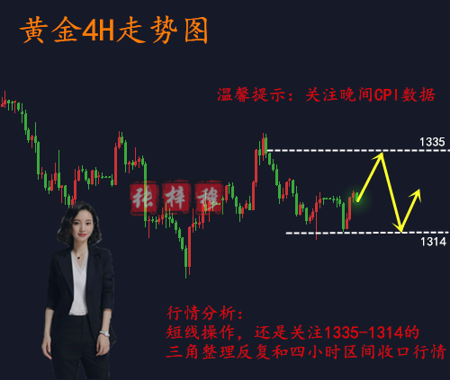 3.13關(guān)注晚間CPI數(shù)據(jù)，日內(nèi)行情分析操作建議