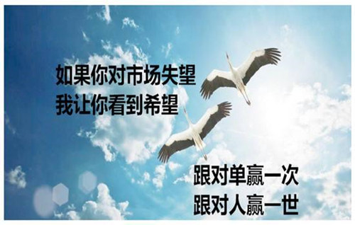 呂順歸：黃金上壓25阻力深度回調繼續多，中線布局迎戰加息！