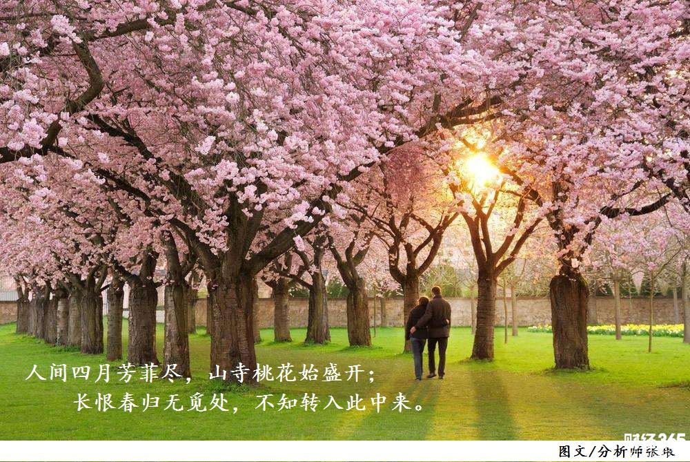 分析師張瑯：3.20午后歐盤黃金、原油操作建議，貿易戰前瞻