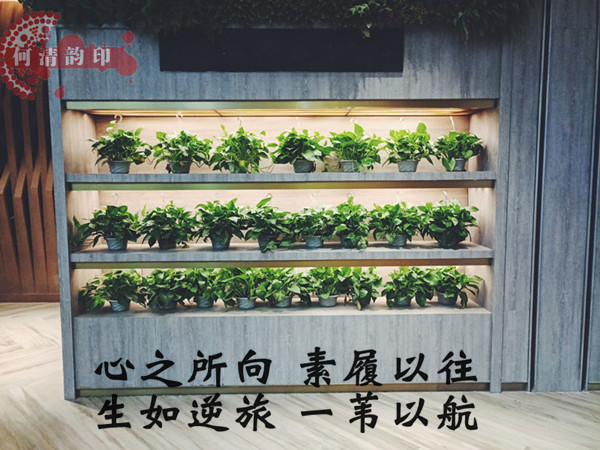 何清韻：難舍別難斷，投資交易之道在于舍得之間