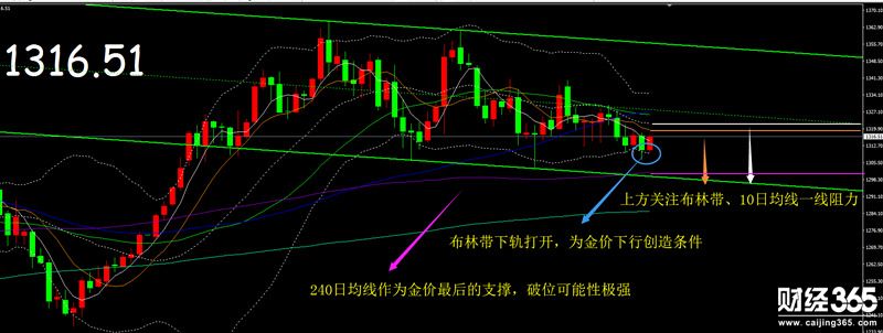 楊錦鑫：美聯(lián)儲加息有意誘多，金價底部藏有華容道