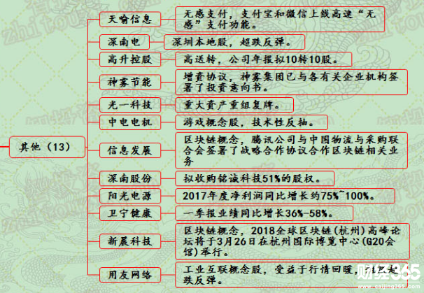 漲停個股分析