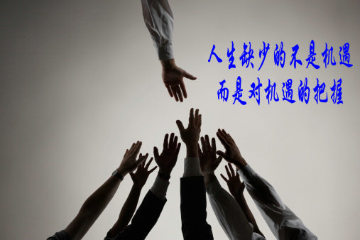 鮑京飛：3.28單陰回落黃金不是空，二連下修原油回避多