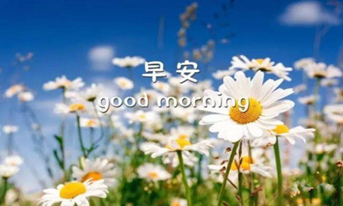 金析妍：4.10黃金1340是一個老梗！今日能破位嗎？避險或為多頭買單！