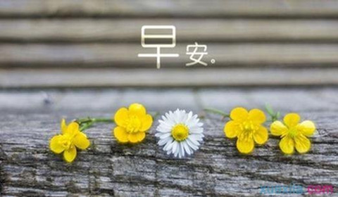 金析妍：4.11黃金攻陷1340大關！美聯(lián)儲重磅將至！多頭能否乘勝追擊？