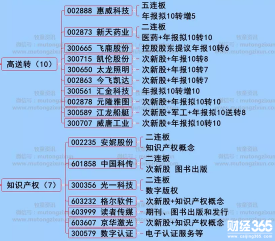 漲停個股分析
