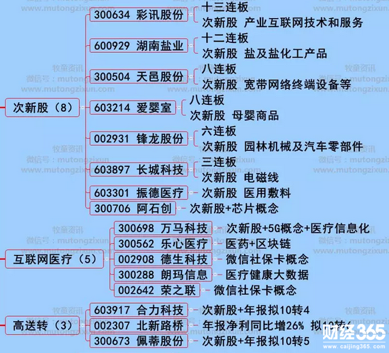 漲停個股分析