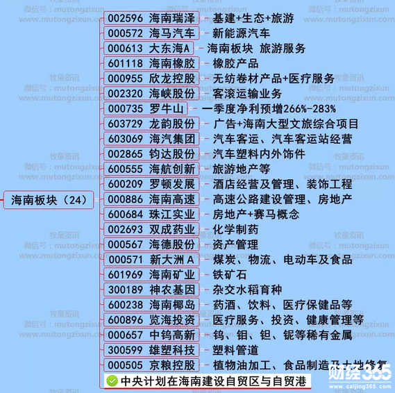 漲停個股分析