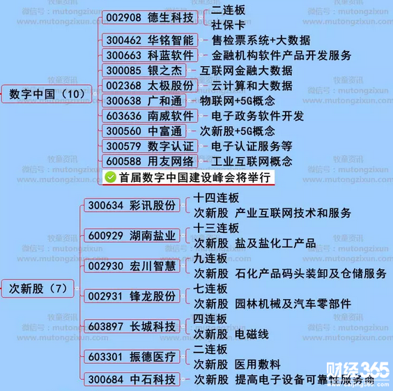 漲停個股分析