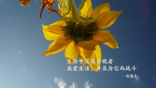 許羿杰：4.17硝煙籠罩，黃金多頭欲撥云見日