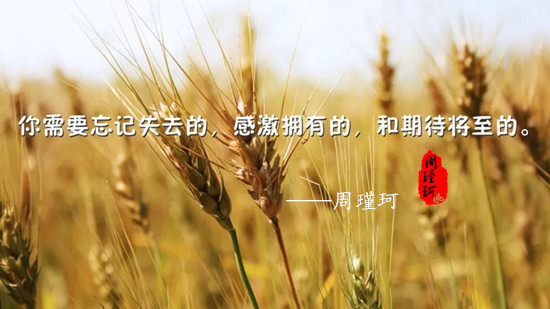 周瑾珂：4.17美元筑底！特朗普”虛晃一槍”，黃金左右為難！