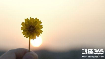 方雅彤：美元“茍延殘喘”，黃金多空勝負不分