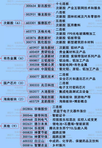 漲停個股分析