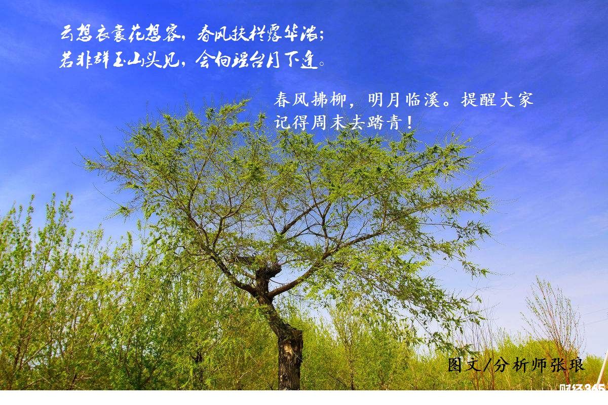 分析師張瑯：4.20黃金原油全線回撤，歐美盤(pán)看多空分水嶺