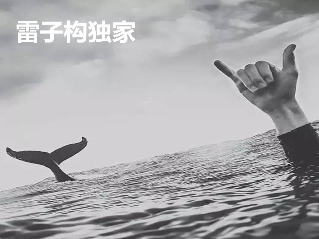 雷子構(gòu)：4.24關(guān)注反彈力度，黃金早間多單已布局