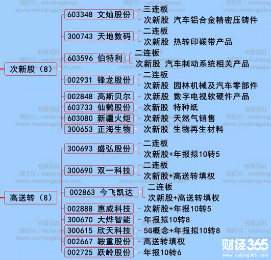 漲停個股分析