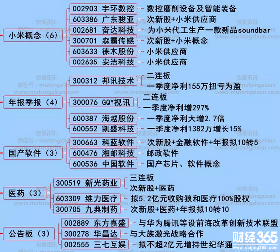 漲停個股分析