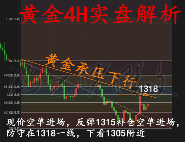 沈云伊：5.4萬(wàn)眾矚目非農(nóng)來(lái)！黃金必空待花開(kāi)！