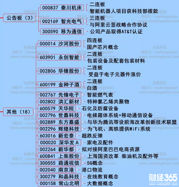 漲停個(gè)股分析
