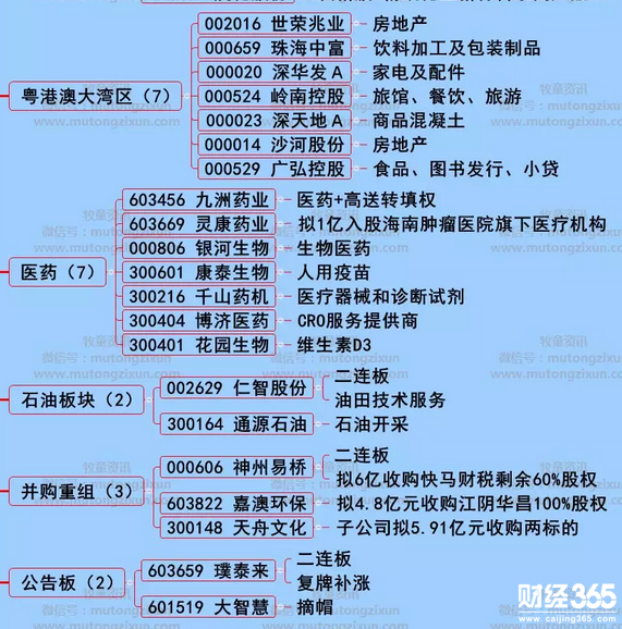 漲停個股分析