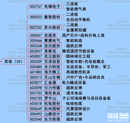 漲停個股分析
