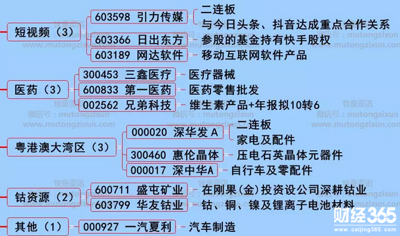漲停個股分析